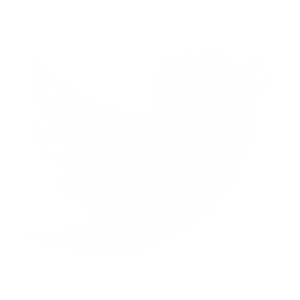 LAVA Computer Twitter